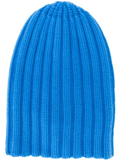 Shop Laneus Ribbed Knit Beanie In Blue