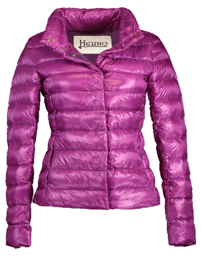 Shop Herno Classic Nylon Fitted Jacket In Purple