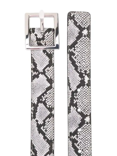 Shop Amiri Snakeskin Effect Belt In Grey Multi