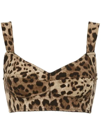 Shop Dolce & Gabbana Animal Print Cropped Top In Brown