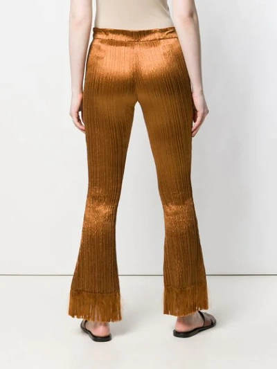Shop Chloé Plisse Fringed Trousers In Brown