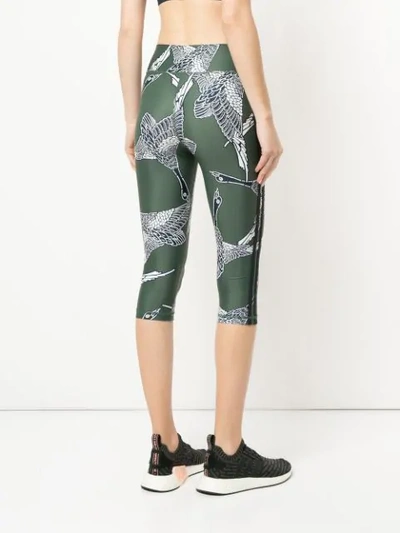 Shop The Upside Bird Print Cropped Leggings In Green