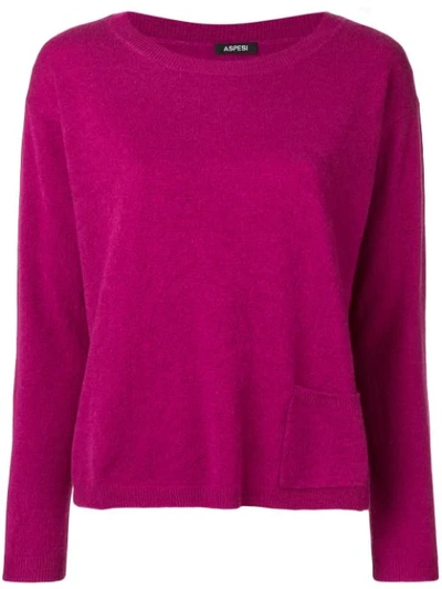 Shop Aspesi Cashmere Fine Knit Sweater - Pink