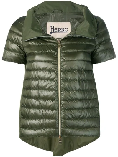 Shop Herno Short Sleeve Padded Jacket In Green