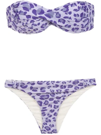 Shop Amir Slama Printed Bandeau Bikini Set In Pink