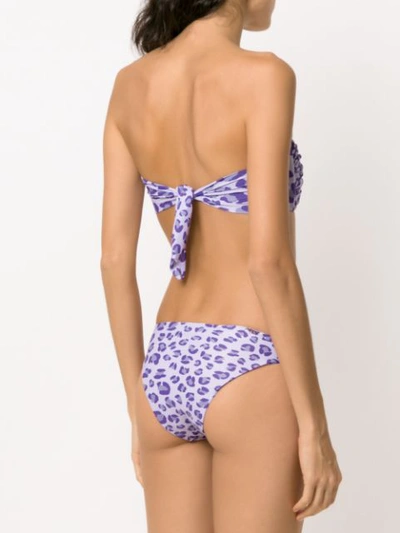 Shop Amir Slama Printed Bandeau Bikini Set In Pink