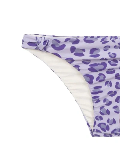 Shop Amir Slama Printed Bandeau Bikini Set In Pink