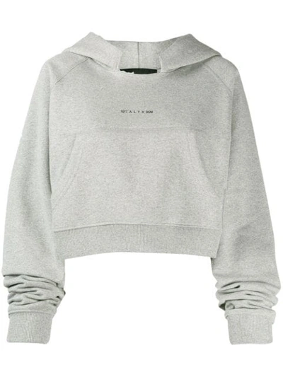 Shop Alix Cropped Raglan Hoodie In Grey