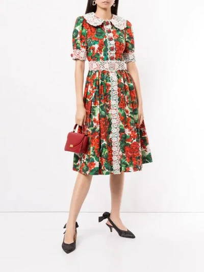 Shop Dolce & Gabbana Scalloped Lace Shirt Dress In Multicolour