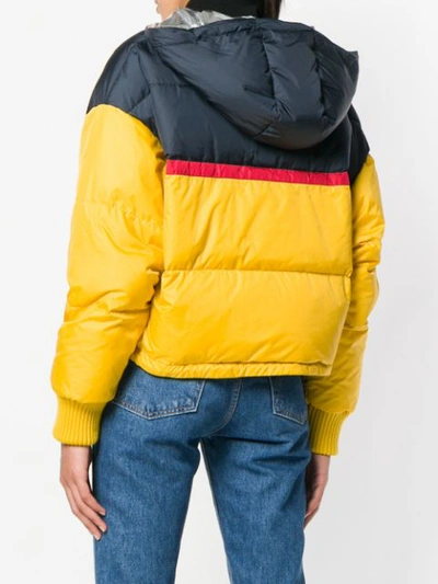 Shop Iceberg Logo Print Puffer Jacket - Yellow