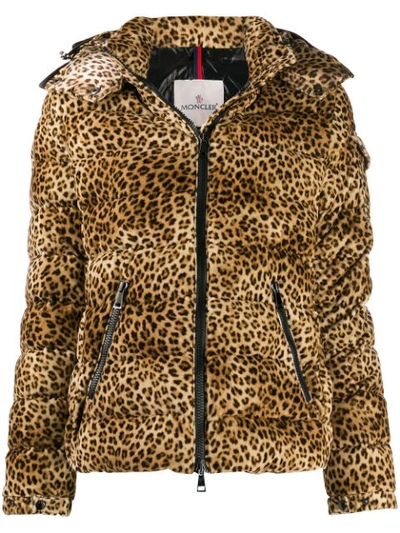 Shop Moncler Bady Animal Print Velvet Jacket In Neutrals