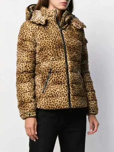 Shop Moncler Bady Animal Print Velvet Jacket In Neutrals