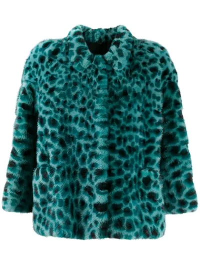 Shop Simonetta Ravizza Animal Print Jacket In Blue