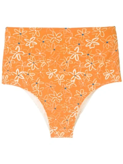 Shop Clube Bossa Ceanna Printed Bikini Bottom In Orange