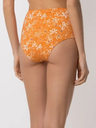 Shop Clube Bossa Ceanna Printed Bikini Bottom In Orange