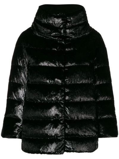 Shop Herno Velvet Puffer Jacket In Black
