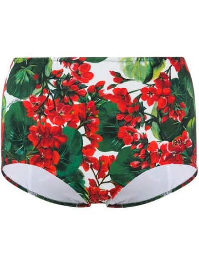 Shop Dolce & Gabbana Floral-print Bikini Briefs In Green