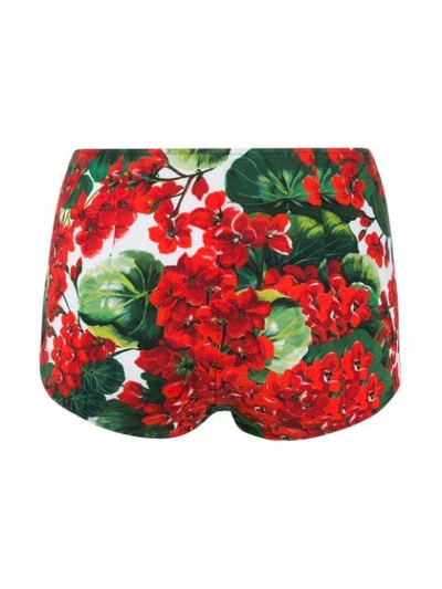 Shop Dolce & Gabbana Floral-print Bikini Briefs In Green