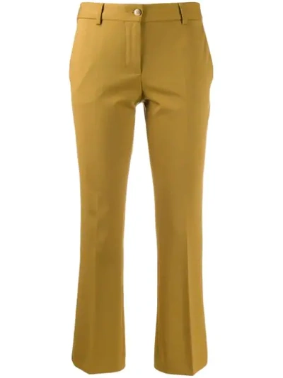 Shop Alberto Biani Cropped Tailored Trousers In Green