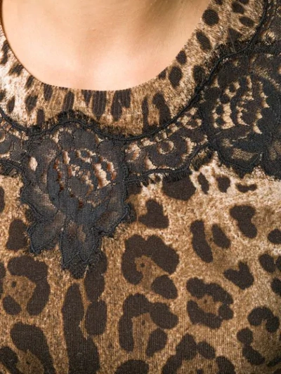 Shop Dolce & Gabbana Leopard Print Lace Detailed Top In Brown