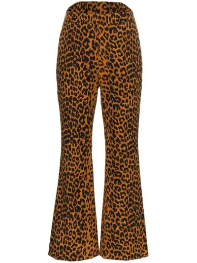 Shop Push Button Leopard Print Cotton Trousers In Brown