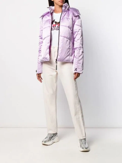 Shop Pinko Klassische Daunenjacke In Y11 Purple