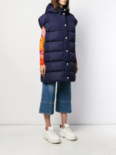 Shop Msgm Padded Hooded Vest In Blue