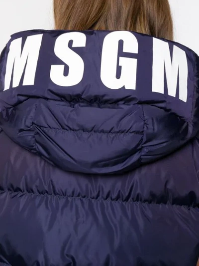 Shop Msgm Padded Hooded Vest In Blue