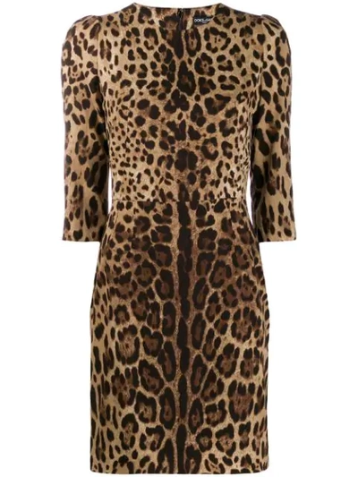 Shop Dolce & Gabbana Leopard Print Mini Dress In Brown