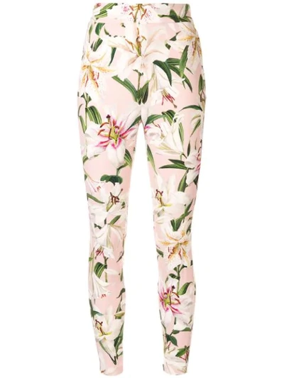 Shop Dolce & Gabbana Lily Print High-waist Trousers In Pink