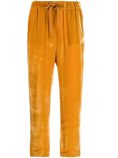 Shop Semicouture Velvet Cropped Trousers In Yellow