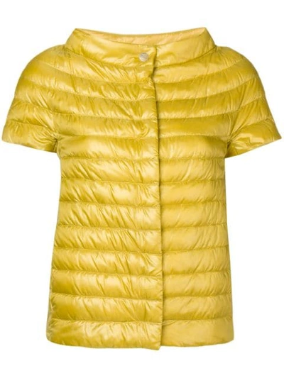 Shop Herno Short-sleeved Padded Jacket In Yellow