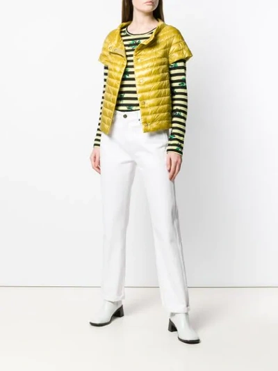 Shop Herno Short-sleeved Padded Jacket In Yellow