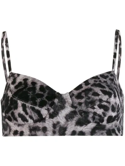 Shop Norma Kamali Leopard Print Bikini Top In Grey