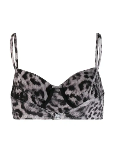 Shop Norma Kamali Leopard Print Bikini Top In Grey