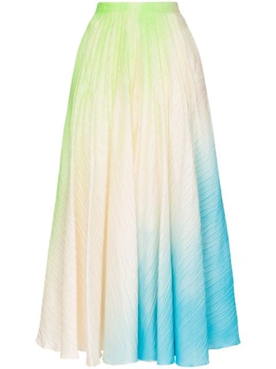Shop Roksanda Ambra Ombré Pleated Maxi-skirt In Multicolour