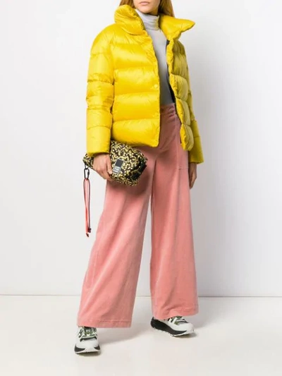 Shop Bacon Short Padded Jacket In Yellow