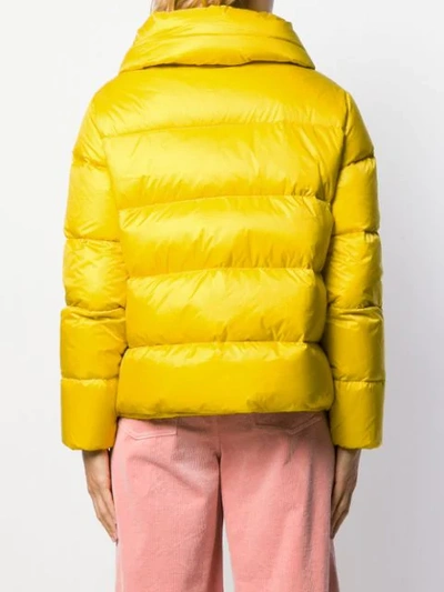 Shop Bacon Short Padded Jacket In Yellow