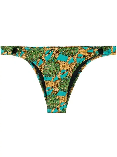 Shop Reina Olga Jungle Fever Bikini Bottom In Green