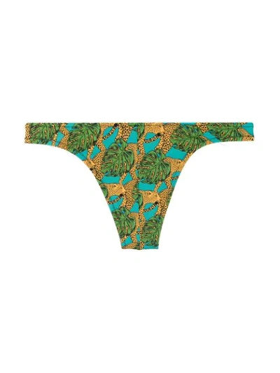 Shop Reina Olga Jungle Fever Bikini Bottom In Green
