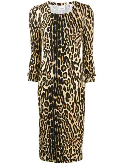 Shop Burberry Leopard Print Fitted Dress In 大地色