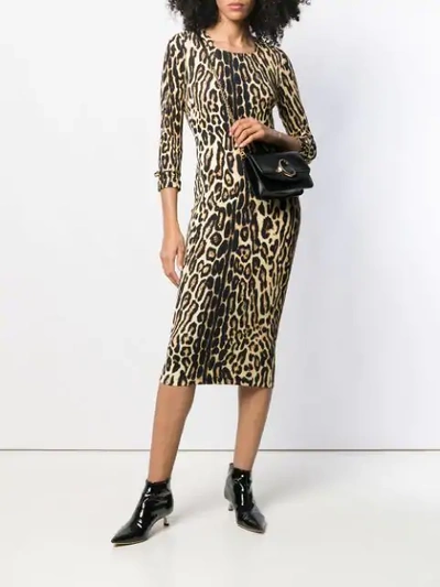 Shop Burberry Leopard Print Fitted Dress In 大地色