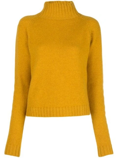 Shop The Elder Statesman Cashmere Roll Neck Jumper In Yellow