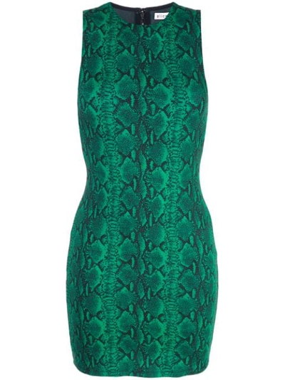 Shop Alice And Olivia Snake Print Dress In Green