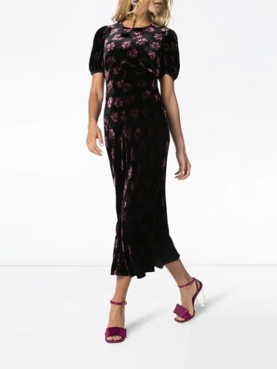 Shop Rixo London Florales Samtkleid In Black