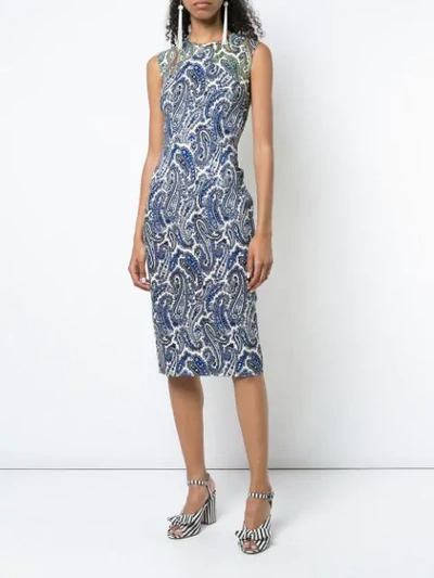 Shop Diane Von Furstenberg Dvf  Fitted Paisley Dress - Multicolour