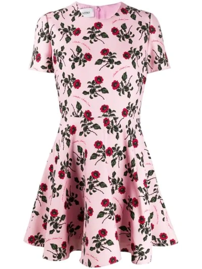Shop Valentino Floral Print Skater Dress In Pink