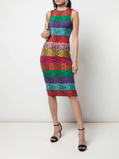 Shop Alice And Olivia Rainbow Snake Print Dress In Multicolour