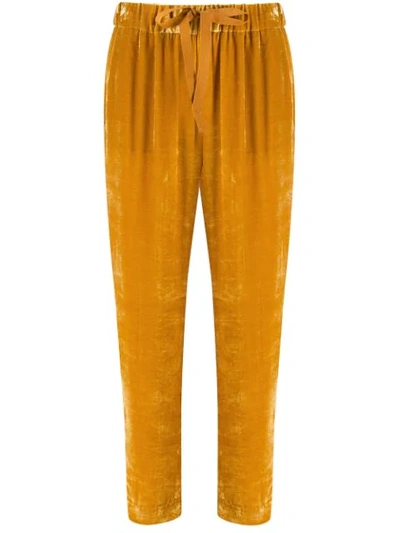 Shop Semicouture Velvet Cropped Trousers In Yellow