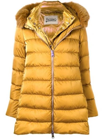 Shop Herno Fur Trimmed Parka In Yellow